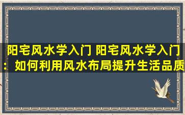 阳宅风水学入门 阳宅风水学入门：如何利用风水布局提升生活品质